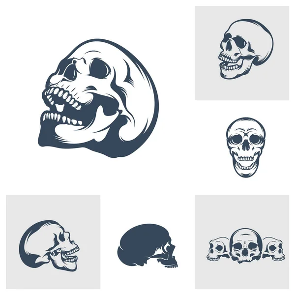 Set Skull Vector Illustration Design Skull Logo Design Template — Stock Vector