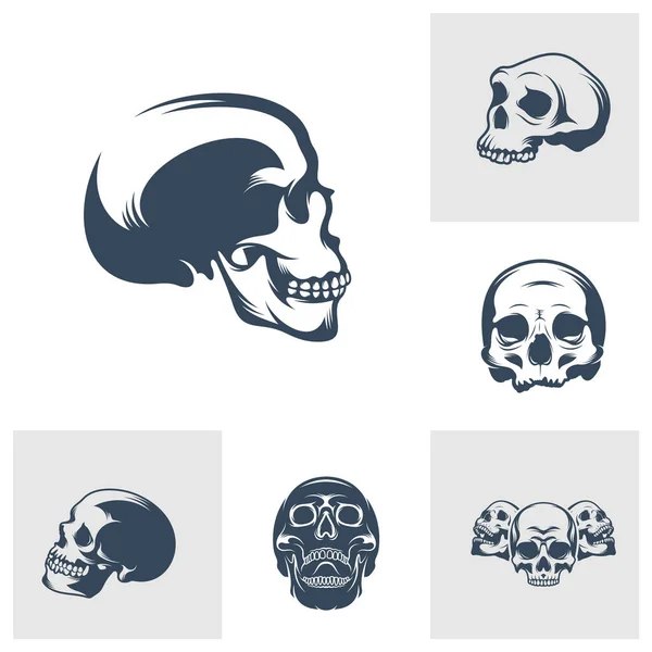 Conjunto Diseño Ilustración Vectores Cráneo Diseño Del Logo Del Cráneo — Vector de stock