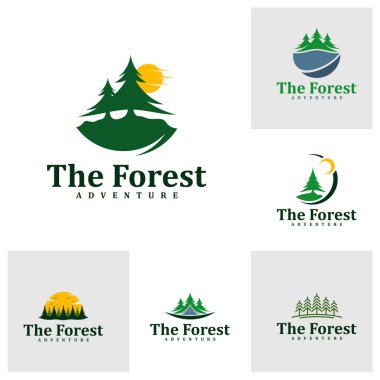 Forest logo tasarım şablonu seti. Yaratıcı Pine logo vektör çizimi.