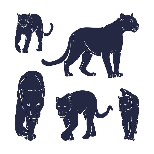 Set of Panther vector illustration design. Panther logo design Template.