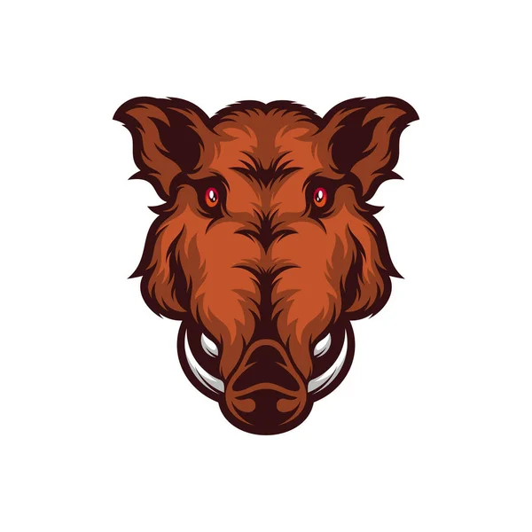 Illustration Vectorielle Wild Boar Head Modèle Logo Sanglier Sauvage — Image vectorielle
