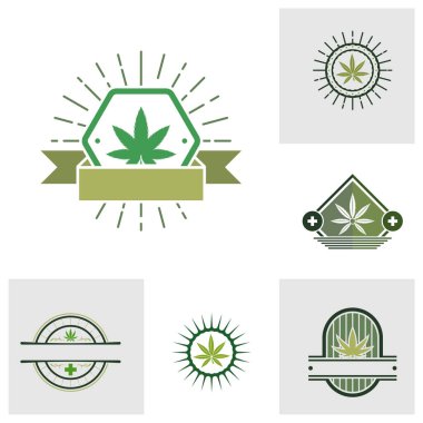 Kenevir yaprağı logo tasarım şablonu vektörü. CBD yağ marihuana etiketi için logotype