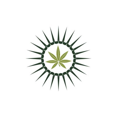 Kenevir yaprağı logosu tasarım şablonu vektörü. CBD yağ marihuana etiketi için logotype