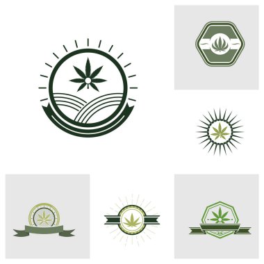 Kenevir yaprağı logo tasarım şablonu vektörü. CBD yağ marihuana etiketi için logotype