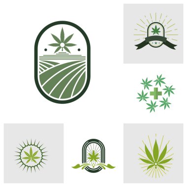 Kenevir yaprağı logo tasarım şablonu vektörü. CBD yağ marihuana etiketi için logotype