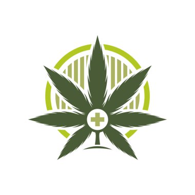 Kenevir yaprağı logosu tasarım şablonu vektörü. CBD yağ marihuana etiketi için logotype