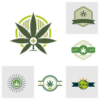 Kenevir yaprağı logo tasarım şablonu vektörü. CBD yağ marihuana etiketi için logotype