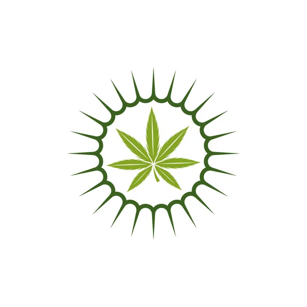 Каннабис Лист Дизайн Логотипа Вектор Шаблона Логотип Этикетки Марихуаны Cbd — стоковый вектор