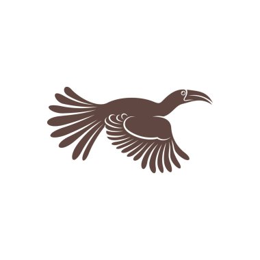 Malabar Grey Hornbill vektör çizimi. Malabar Grey Hornbill Silhouette. Hornbill tasarım şablonu.