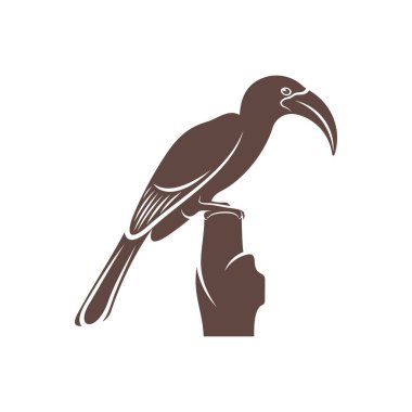 Malabar Grey Hornbill vektör çizimi. Malabar Grey Hornbill Silhouette. Hornbill tasarım şablonu.