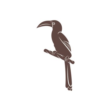 Malabar Grey Hornbill vektör çizimi. Malabar Grey Hornbill Silhouette. Hornbill tasarım şablonu.