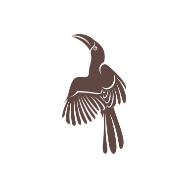 Malabar Grey Hornbill vektör çizimi. Malabar Grey Hornbill Silhouette. Hornbill tasarım şablonu.