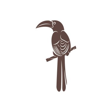 Malabar Grey Hornbill vektör çizimi. Malabar Grey Hornbill Silhouette. Hornbill tasarım şablonu.