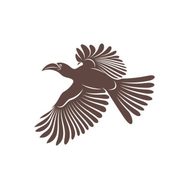 Malabar Grey Hornbill vektör çizimi. Malabar Grey Hornbill Silhouette. Hornbill tasarım şablonu.