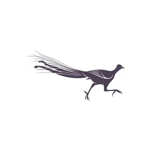 Дизайн Векторной Иллюстрации Лирохвоста Силуэт Лирохвоста Шаблон Lyrebird — стоковый вектор