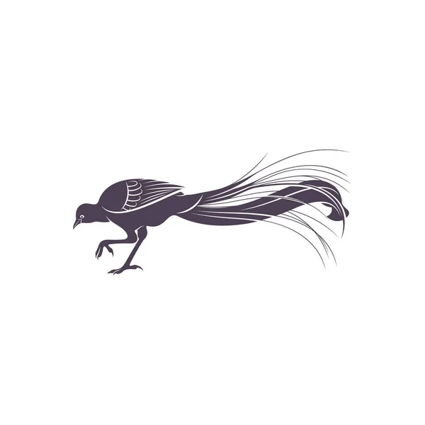 Lyrebird Vektör Çizimi Lyrebird Silhouette Lyrebird Tasarım Şablonu — Stok Vektör