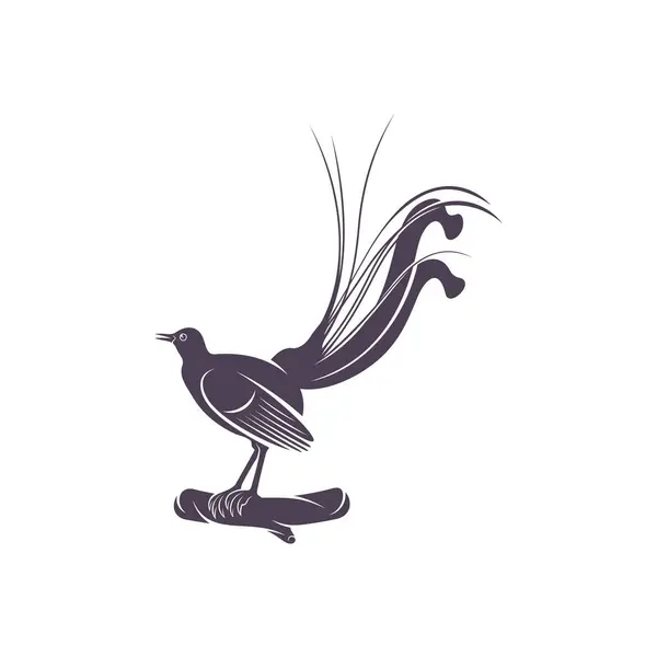 Desenho Ilustração Vetorial Lyrebird Lyrebird Silhouette Modelo Design Lyrebird — Vetor de Stock