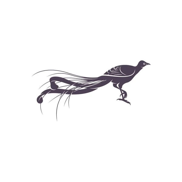 Lyrebird Vektor Illustration Design Lyrebird Silhouette Mall För Utformning Lyrebird — Stock vektor