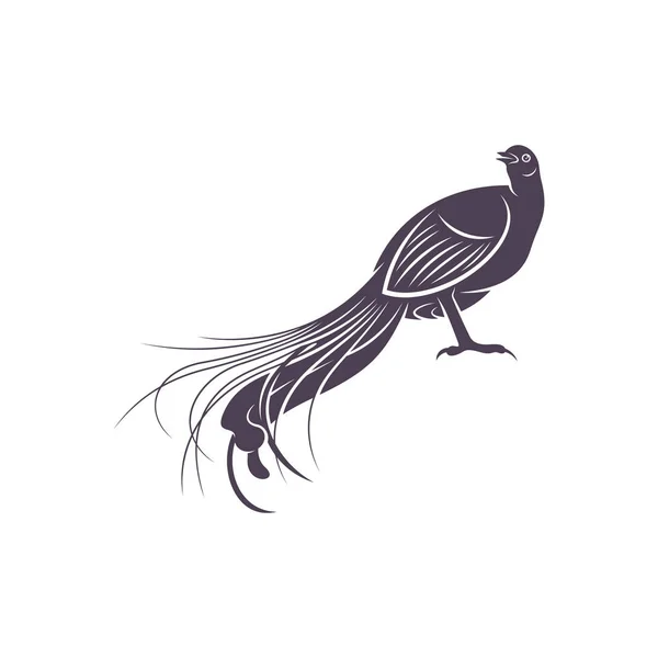 Lyrebird Vektor Illustration Design Lyrebird Silhouette Mall För Utformning Lyrebird — Stock vektor