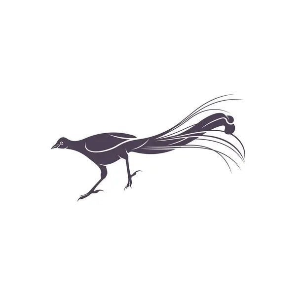 Lyrebird Vektör Çizimi Lyrebird Silhouette Lyrebird Tasarım Şablonu — Stok Vektör