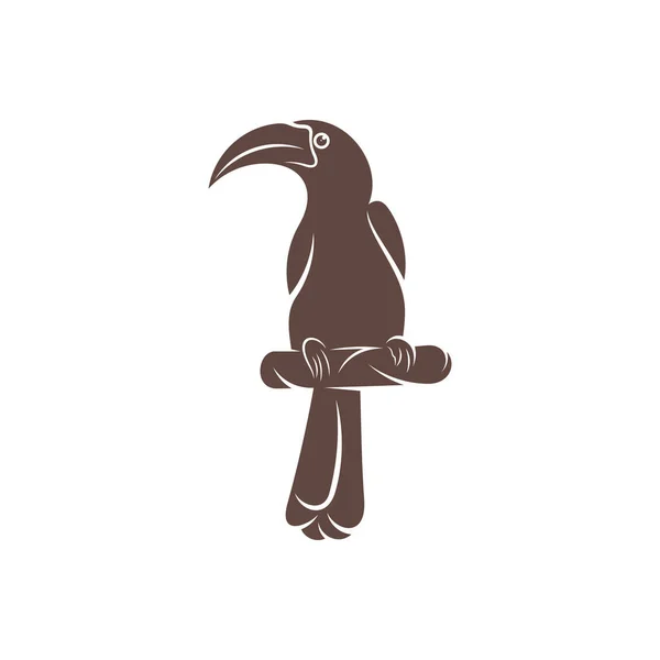 Malabar Gris Hornbill Diseño Ilustración Vectorial Malabar Grey Hornbill Silhouette — Vector de stock