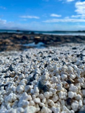 Fuerteventura İspanya 'da patlamış mısır plajı