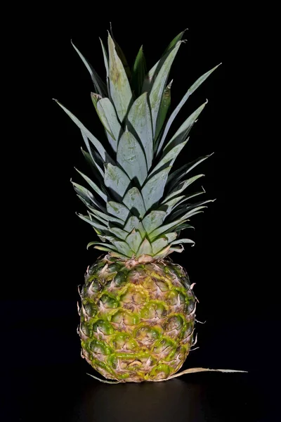 Whole fruit of a pineapple with leaves against a black background