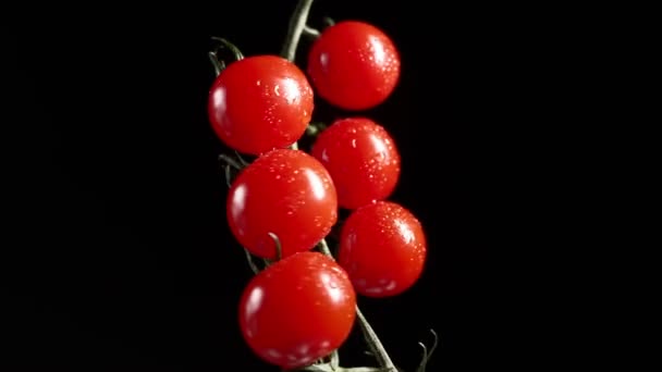 Czerwone Pomidory Wiśniowe Obracać Czarnym Tle Soczyste Warzywa Kroplach Wody — Wideo stockowe