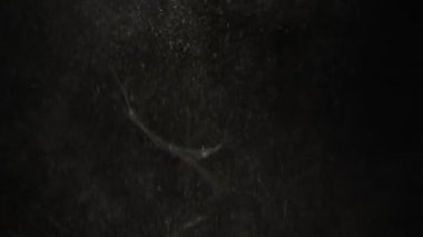 Dust and debris flies on a black background. Pollution concept. Slow motion.