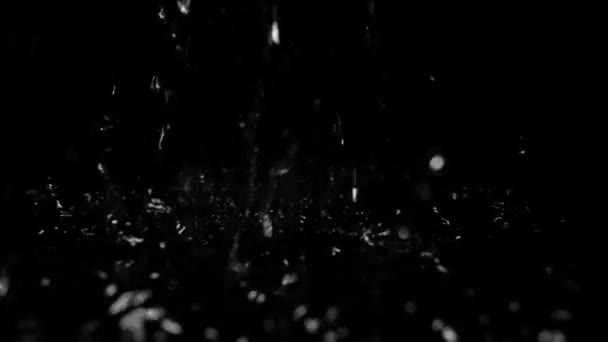 Raindrops Break Water Dark Black Background Water Drops Slow Motion — Stockvideo