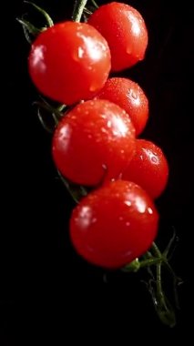 Vertical Video, Red Cherry Tomatoes Rotate on a Black Background. Juicy Vegetables in Water Drops. Vegetarian Concept. Slow Motion.
