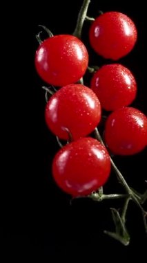 Vertical Video, Red Cherry Tomatoes Rotate on a Black Background. Juicy Vegetables in Water Drops. Vegetarian Concept. Slow Motion.