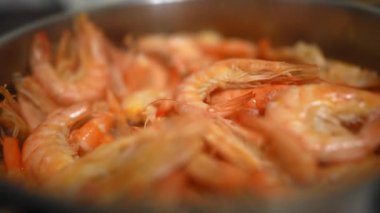 Bir sürü karides tavada kızarır. Pişirme Karidesi İşlemi. Yemek ve deniz ürünleri kavramı. Yavaş Hareket.