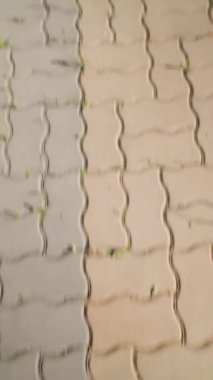 Dikey Video, Şık Sokak Dansçısı Şehir Arkaplanında Hip Hop ve Breakdance. Moda Giyimli Modern Adam Şehir Caddesinde Dans Ediyor. Yavaş Hareket.