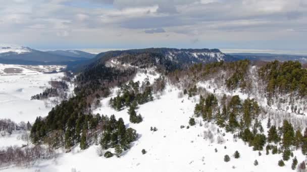 Prachtige Winter Mountain Landschap Een Bewolkte Dag Luchtfoto Skigebied Top — Stockvideo