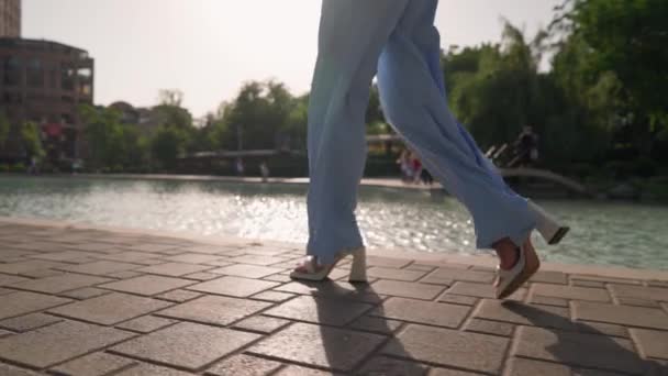 在阳光的映衬下 发展绿松石裤的美丽女性腿沿着池塘走 一个难以辨认的女商人沿着城市街道走着 慢动作 — 图库视频影像