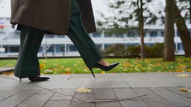 Felismerhetetlen Gyönyörű Lábú Üzletasszony Magas Sarkú Cipőben Széles Nadrágban Sétáljon — Stock videók