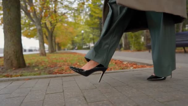 ハイヒールの靴と広いズボンで認識できない美しい脚のビジネス女性は 曇った秋の日にアルリーに沿って歩きます 秋の公園を歩くスタイリッシュなビジネスマン クローズアップ スローモーション — ストック動画