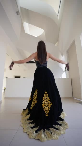 Widok Tyłu Piękna Księżniczka Koroną Głowie Czarna Sukienka Złotymi Wzorami — Wideo stockowe