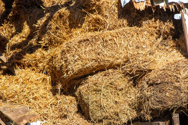 Close Abstract Texture Background Pile Loose Straw Bales Sunlight — Stock Photo, Image