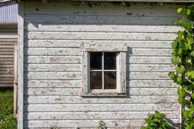 Close up texture background of an old deteriorating 19th century barn wall with peeling white painted wood siding and view of a window