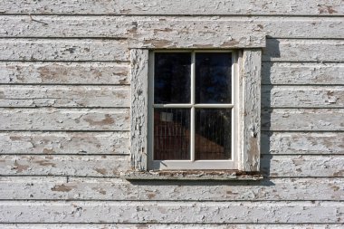 Close up texture background of an old deteriorating 19th century barn wall with peeling white painted wood siding and view of a window
