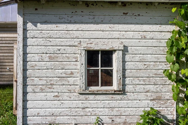 Close up texture background of an old deteriorating 19th century barn wall with peeling white painted wood siding and view of a window