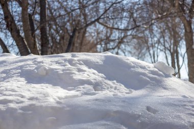 Karla kaplı zeminin tam çerçeve dokusu güneş ışığı altında erimeye başlıyor.