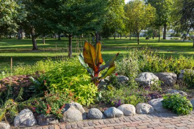 Güneşli bir parkta güneşli bir günde renkli bir Habeşistan muz ağacının yer aldığı güzel bir kaya bahçesinin yakın görüntüsü.