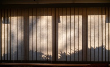 Dış mekan peyzaj gölgelerinin tam çerçeve dokusu karanlık bir odada, dikey perdeleri olan büyük bir pencereye dökülüyor.