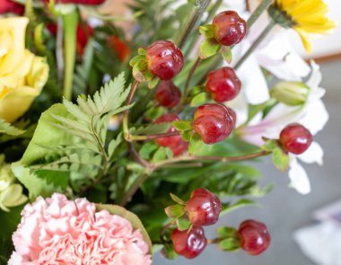 Full frame abstract macro view of blooming flowers in an indoor florist arrangement, featuring red tutsan (hypericum) fruits clipart