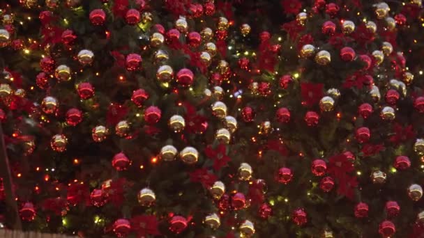 Close Veel Gouden Rode Kerstballen Poinsettia Tussen Sprankelende Lichten Slinger — Stockvideo