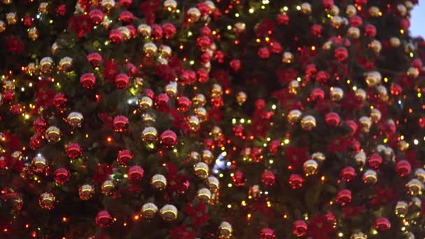 Close Lot Golden Red Christmas Balls Poinsettia Sparkling Lights Garland — Stock Video