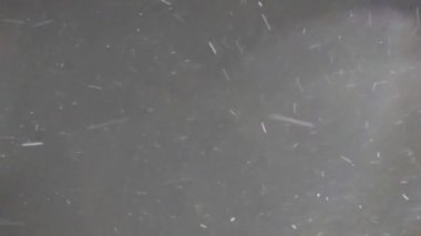  Sokak lambasının ışığına düşen karın dinamik videosu. Mevsimlik kar fırtınası, kar fırtınası. Gece vakti kar yağışı güçlü yağış yağışı, kışın kar taneleri.
